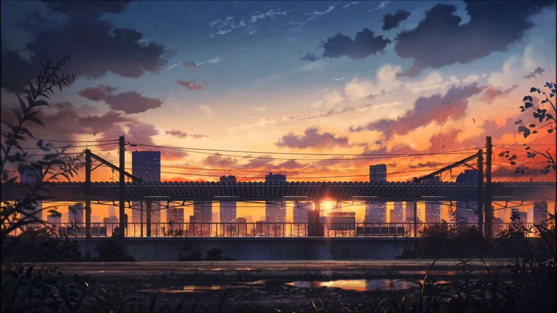 Tribute Page
